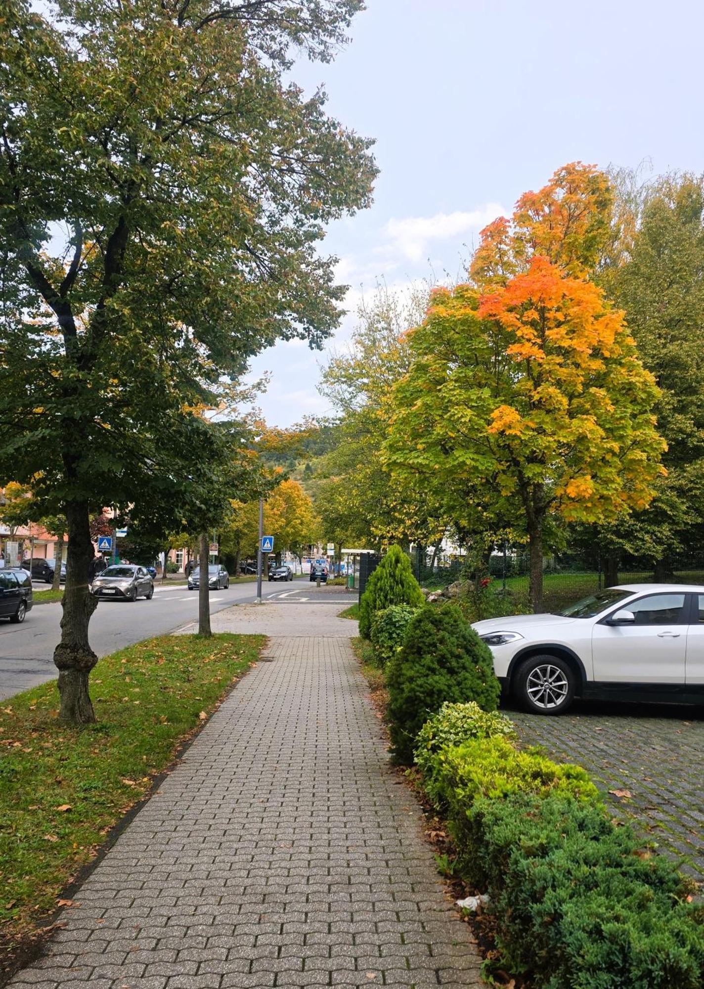 Hotel Zur Moselbruecke Schweich Zewnętrze zdjęcie