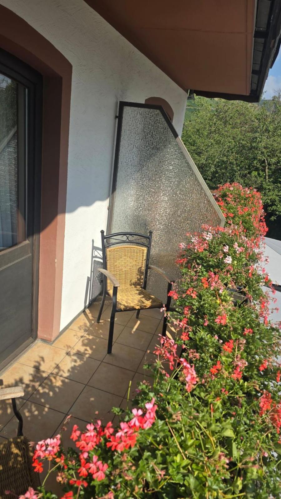 Hotel Zur Moselbruecke Schweich Zewnętrze zdjęcie